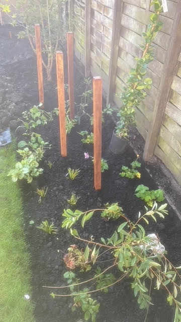 Portfolio achtertuin