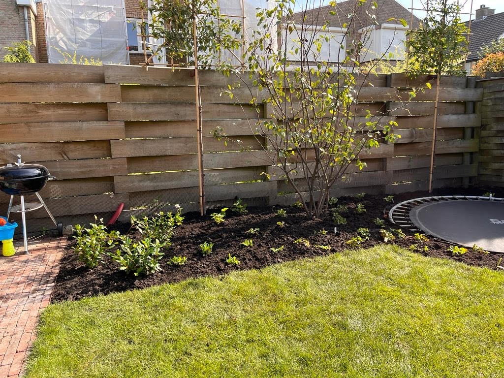 Portfolio achtertuin