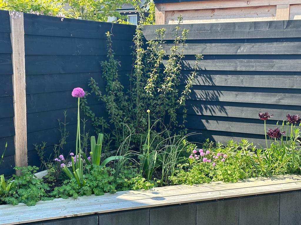 Achtertuin in Nootdorp