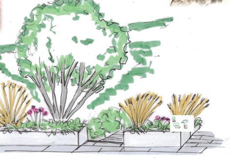 Portfolio achtertuin