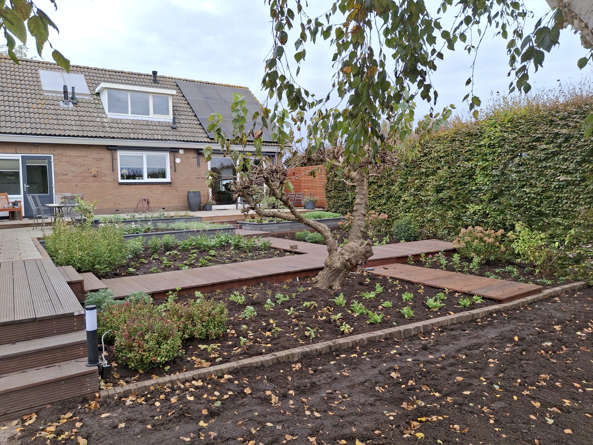 Portfolio achtertuin